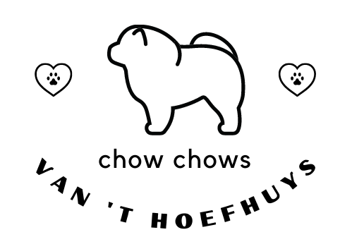 Chow Chows van 't Hoefhuys